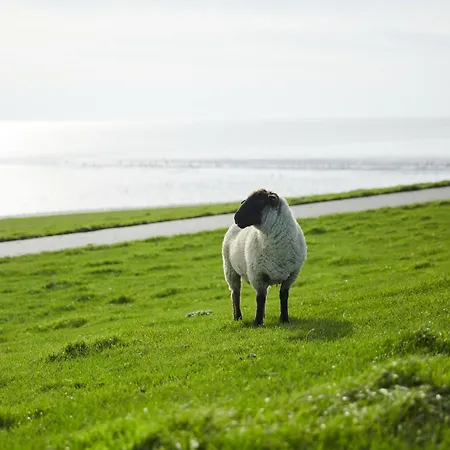 Апартаменты Binnendiek Haus 1 8